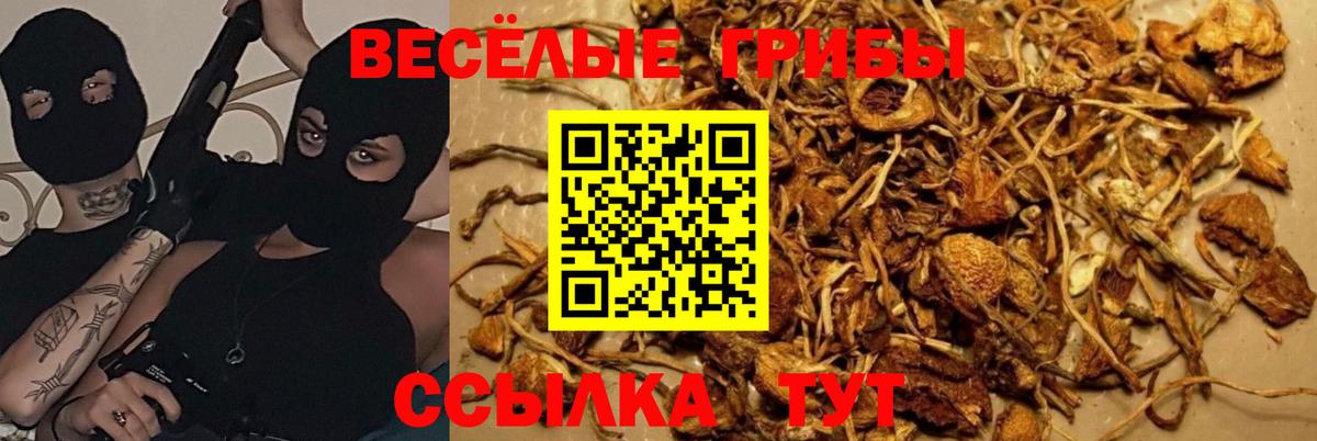 Галлюциногенные грибы Magic Shrooms Глазов
