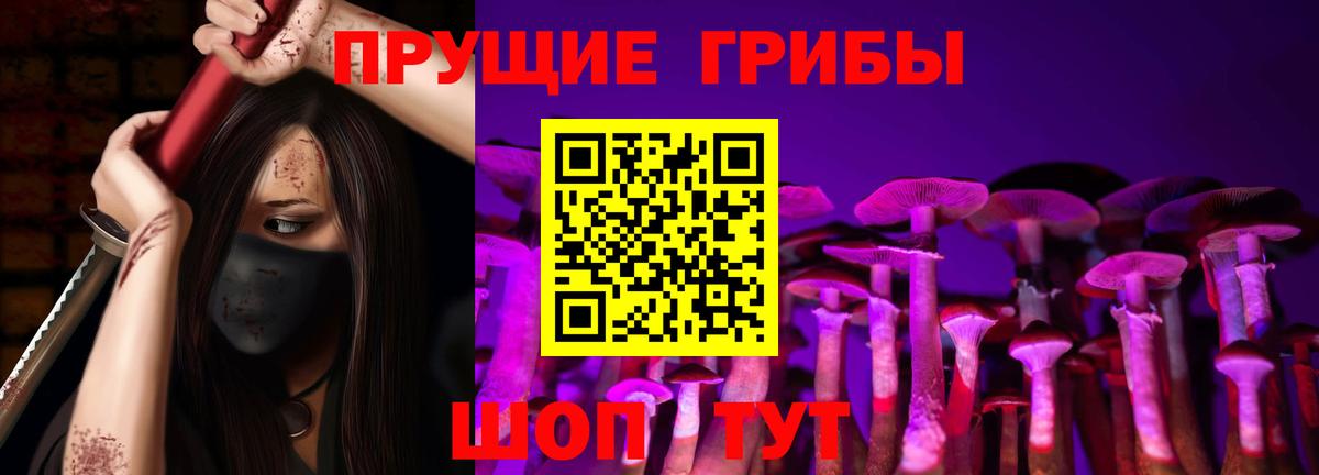 Глазов  где можно купить   Вход с VPN  Псилоцибиновые грибы GOLDEN TEACHER 